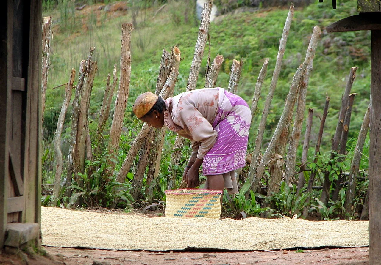 madagascarzafimaniry_womanby_bernard_gagnon