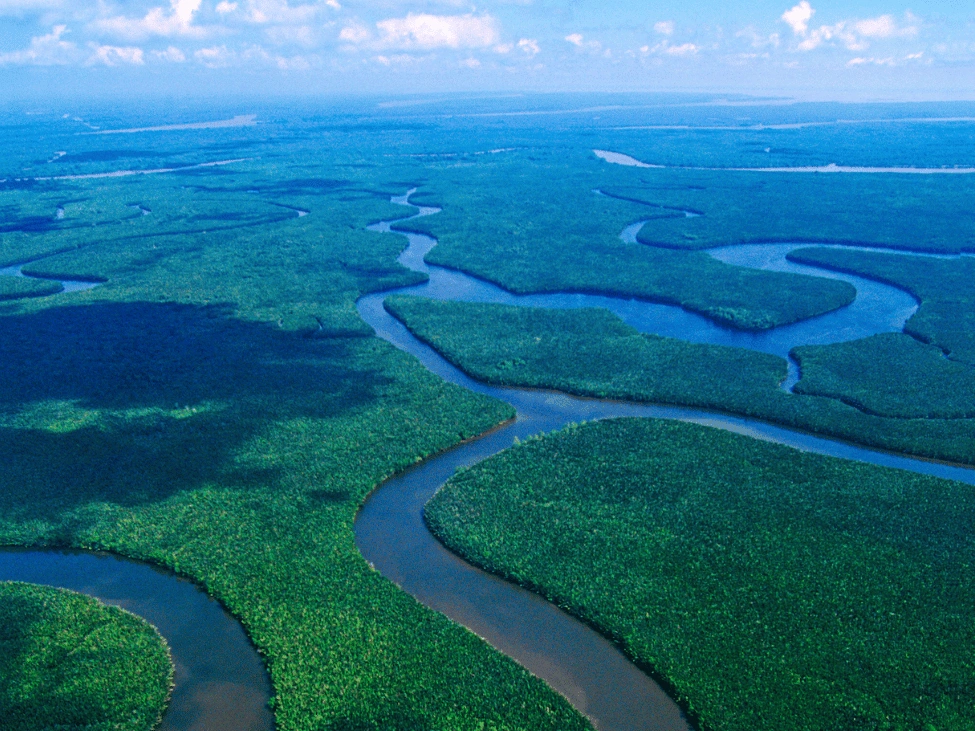 Mahakam_River_Borneo