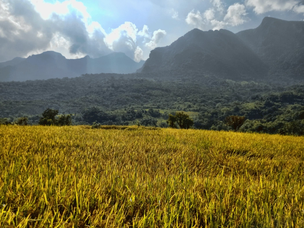 meemure_village_sri_lanka__2_