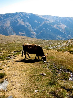 mulhacen-andalucia