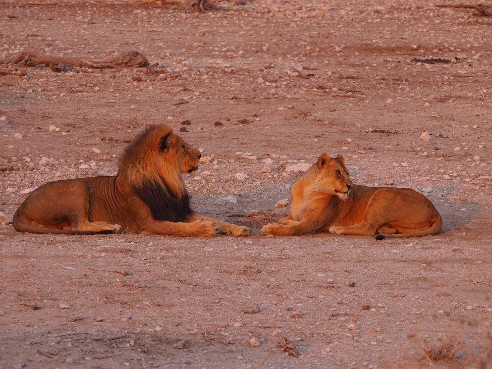 namibia