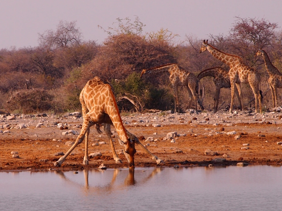 namibia_1