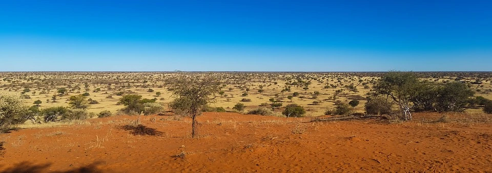 Namibia, deserto del Kalahari 