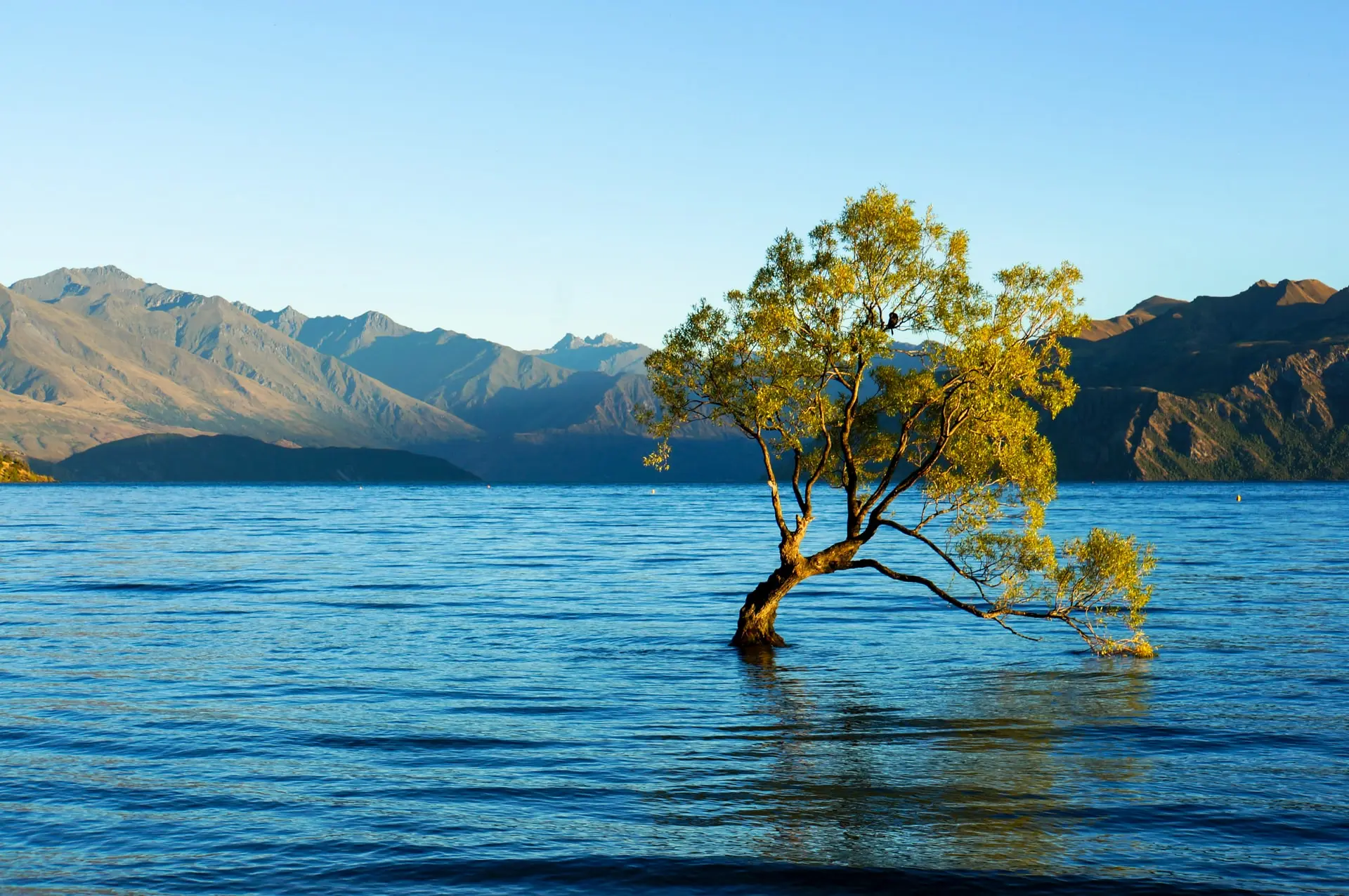 new-zealand-lake-wanaka