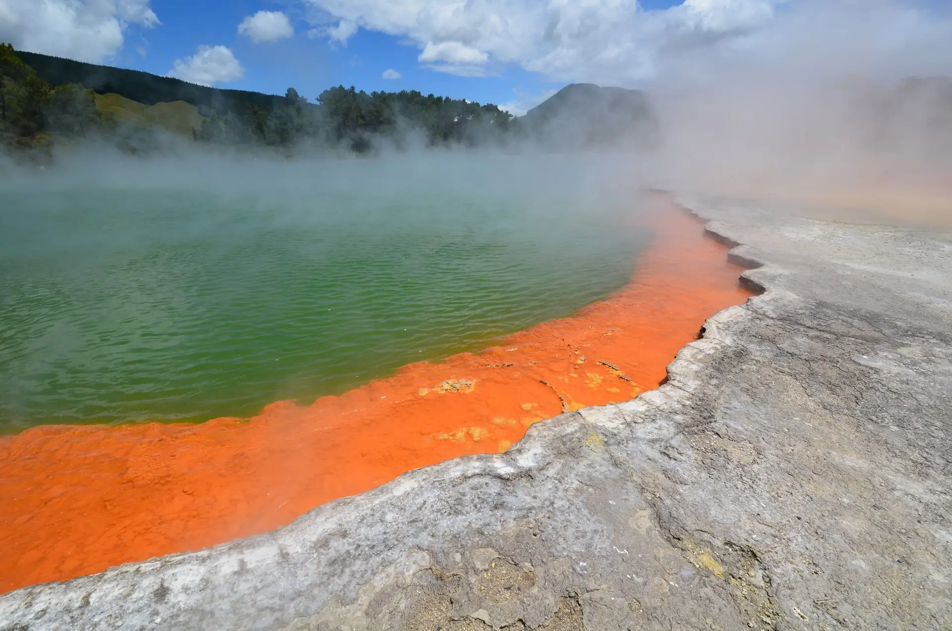 new-zealand-rotorua