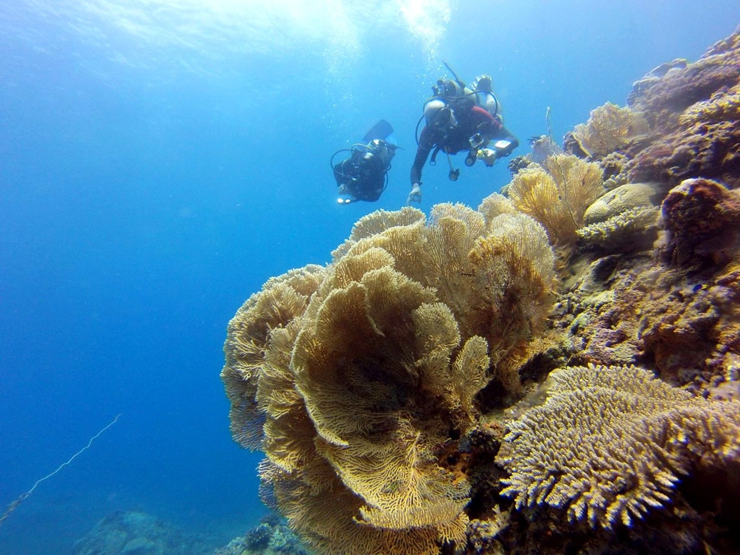 Nosy St Marie, Cocobay diving ph. Princesse Bora Hotel