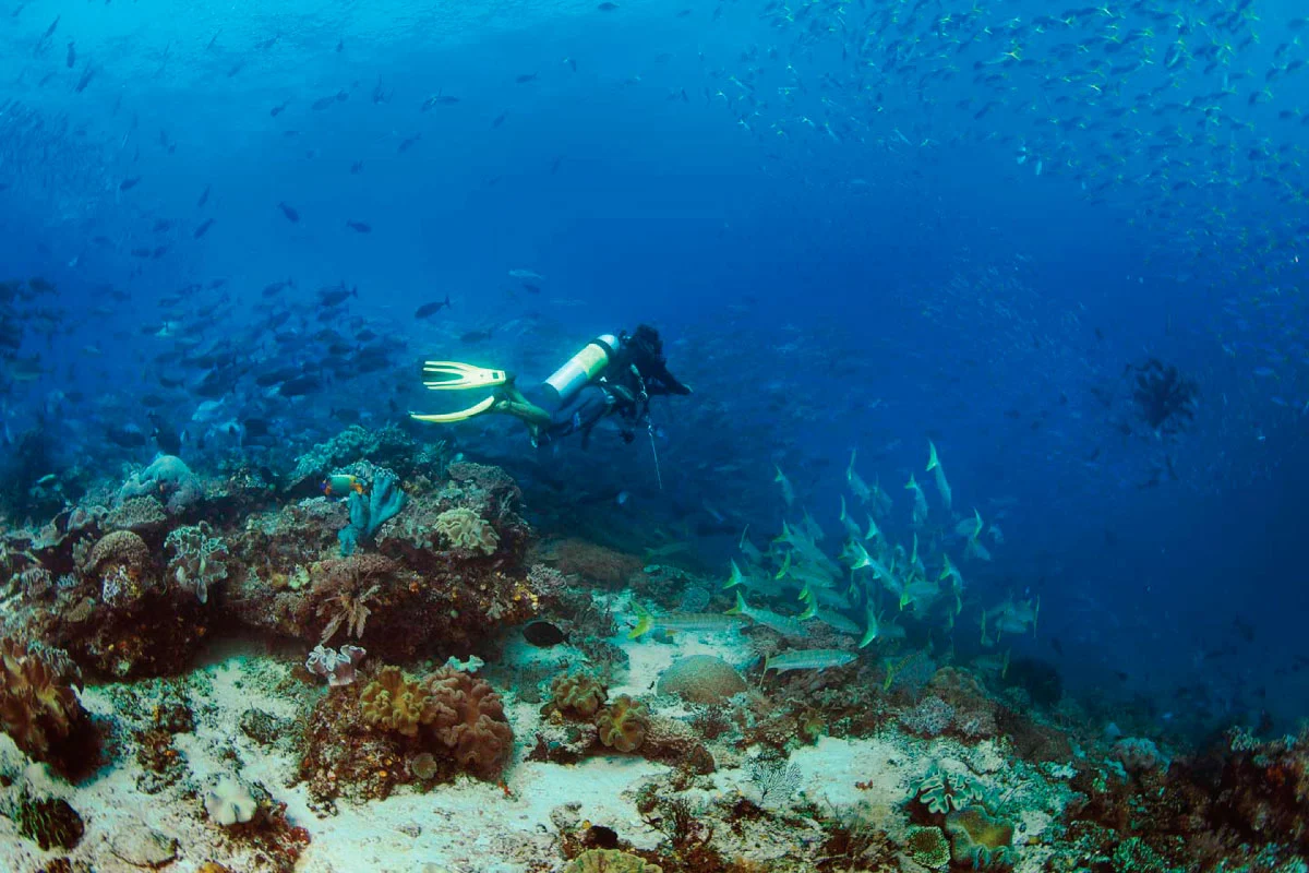 papua_paradise_ecoresort_diving