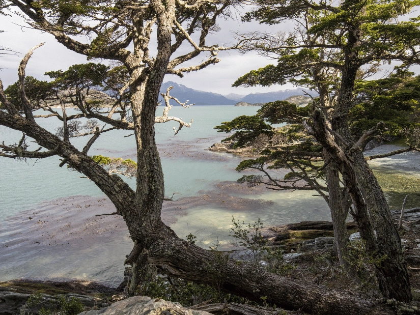 Parco-Nazionale-Tierra-del-Fuego__1_