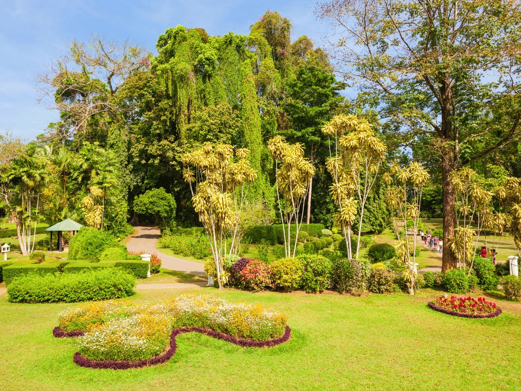 peradeniya_sri_lanka