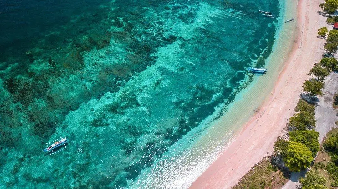 pink_beach_lombok