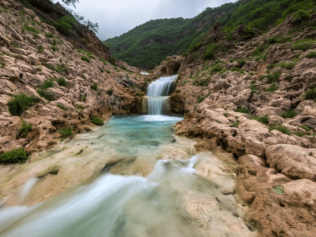 Salalah_Oman__1_