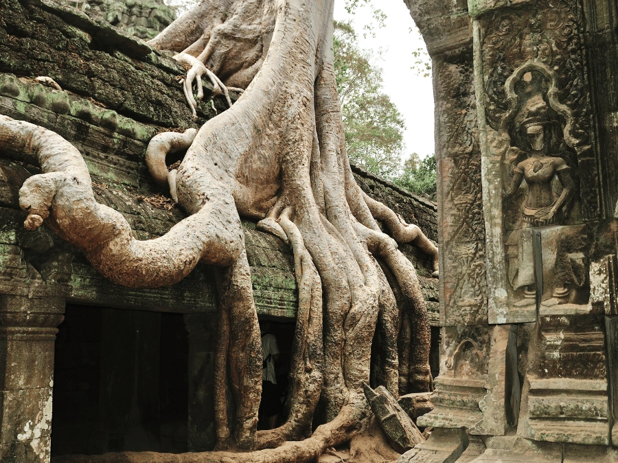 Ta_Phrom