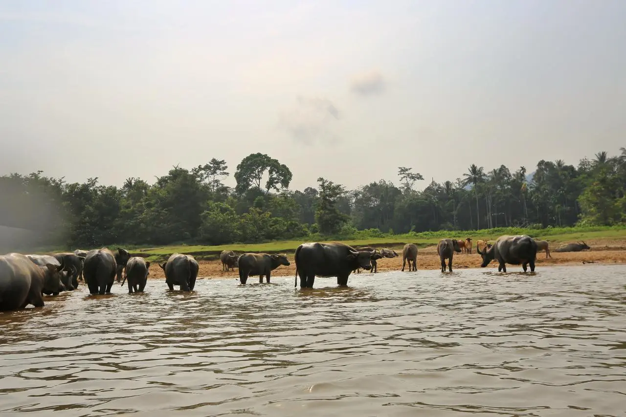 taman_negara_viwe