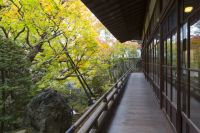 20201111_eikando_zenrinji_temple_09_c2ibjr