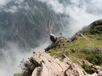 _Per__canyon_colca__1_