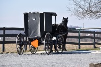 Amish buggy