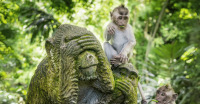 Bali_Monkey_Forest_slider