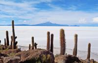 bolivia-the-salar-de-uyuni1920