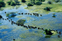 Botswana_Okavango_Kwedi