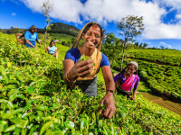 ceylon_women_sri_lanka