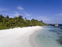 Chaaya Reef Ellaidhoo, spiaggia