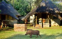 Chobe Safari Lodge, bungalow