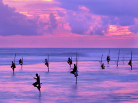 fishermen_galle_sri_lanka