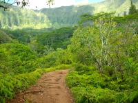 Hawaii, sentiero trekking