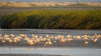 iSimangaliso_Wetland_Park