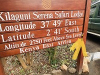 KenyaKilaguniSerenaLodge