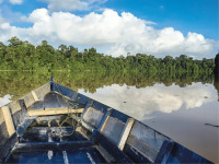 Kinabatangan_river