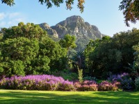 Città del Capo, Giardino Botanico Kirstenbosch