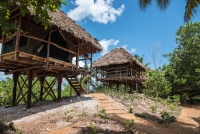 Beach Houses