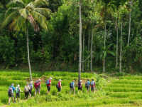 knuckles_mountain_range_sri_lanka