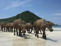 lombok_selong_belenak_beach