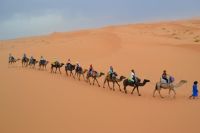 Marocco_camelride_merzouga_dunes_3