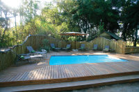 Moremi Crossing Lodge, piscina