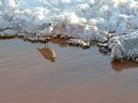 San Pedro de Atacama, salina