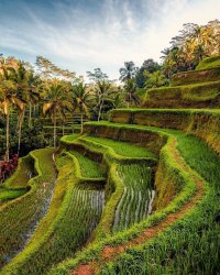 TAGALALANG_UBUD