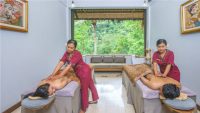 The_Lokha_ubud_-_spa