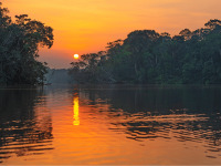 Yasuni_National_Park