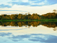 Yasuni_National_Park__1_