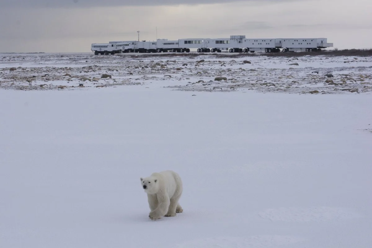 TUNDRA_BUGGY_LODGE_ESTERNO