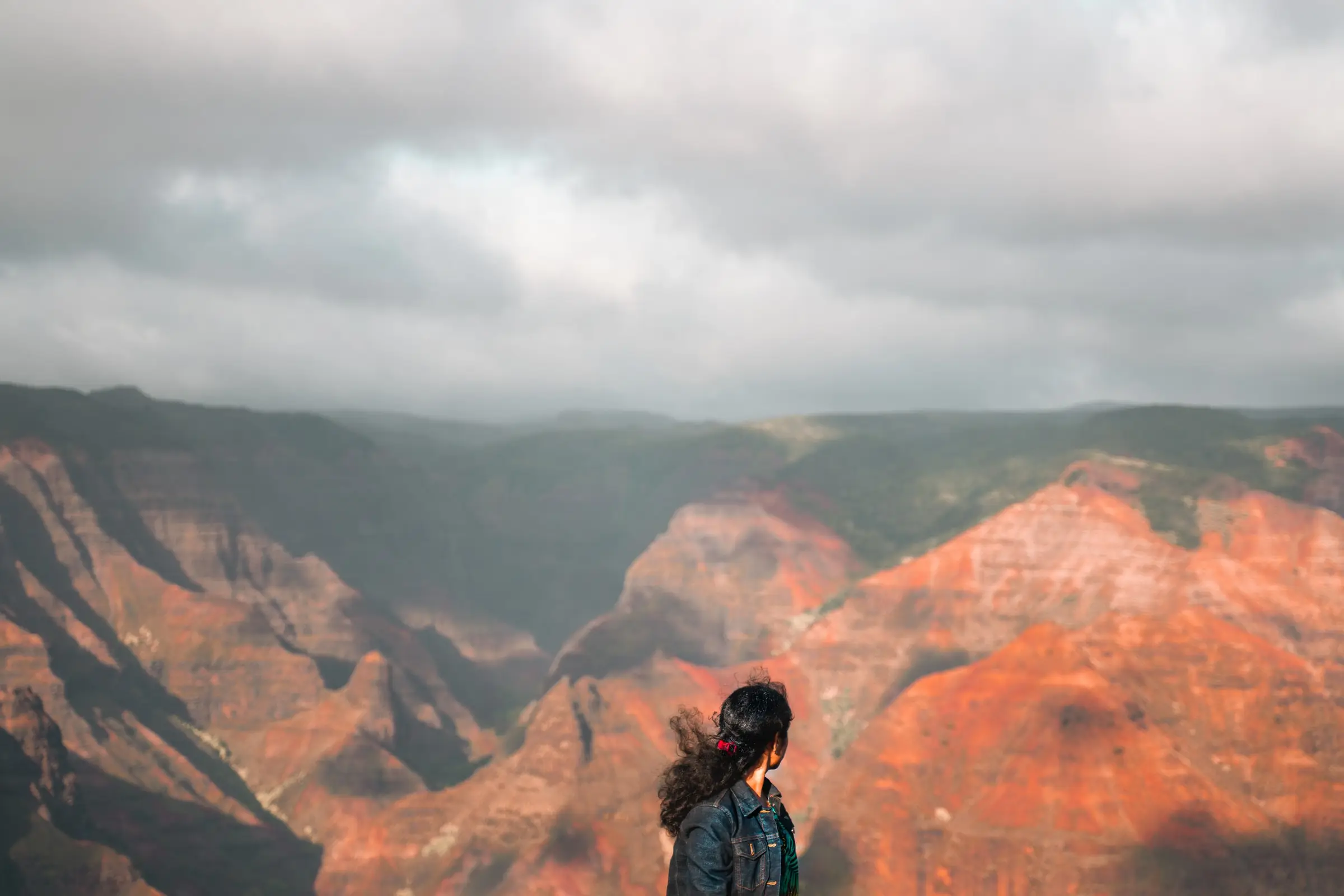 waimea-canyon-hawaii-day10