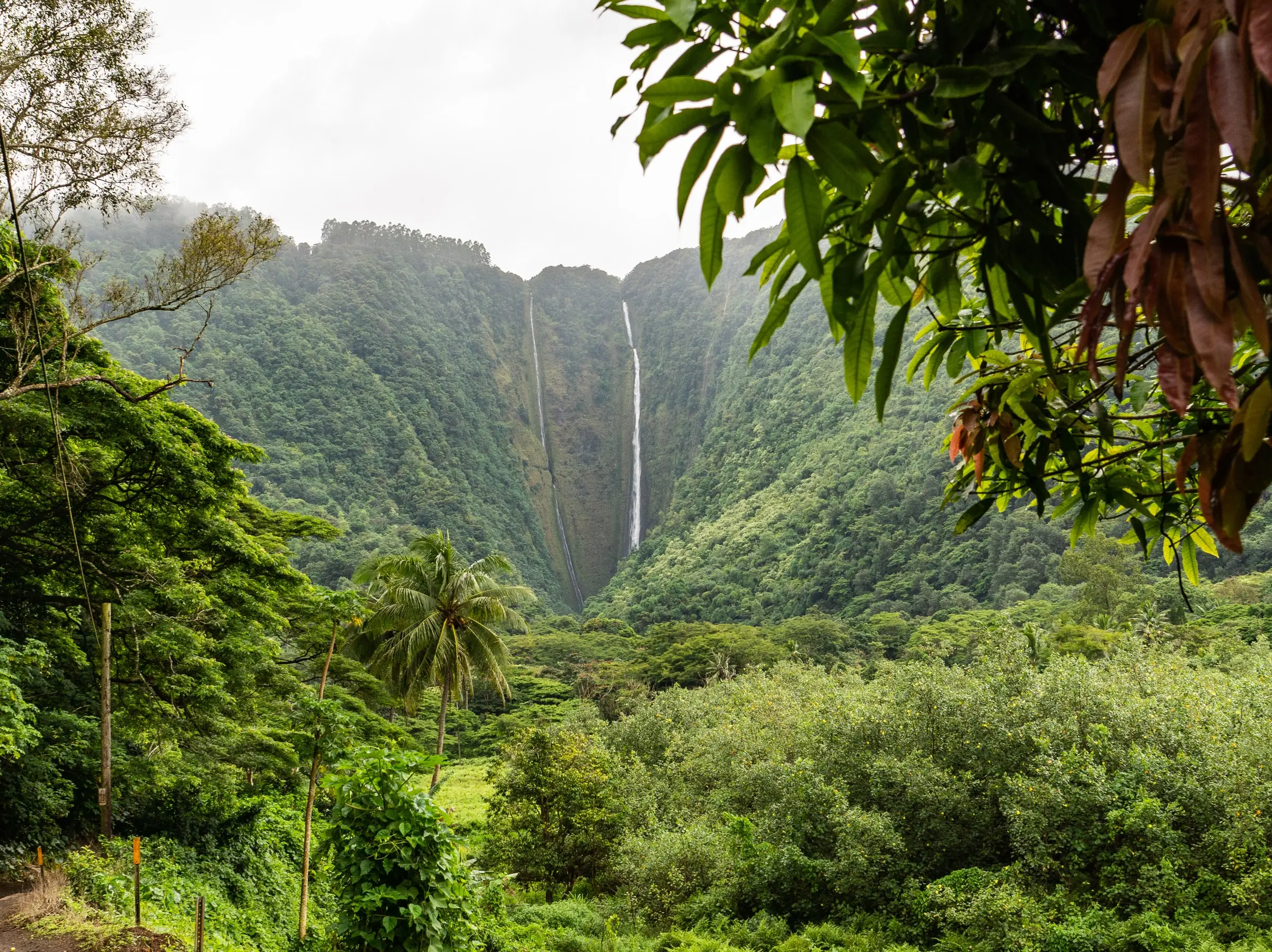 waipipio_valley-hawaii-day4