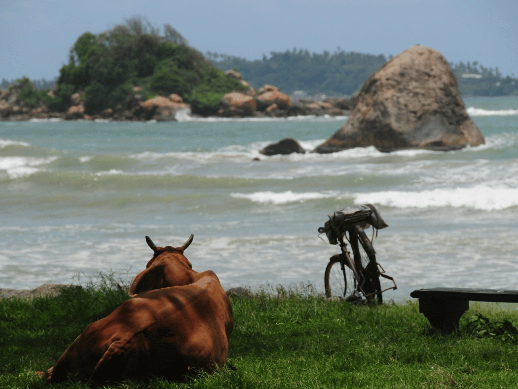 weligama_sri_lanka__2_